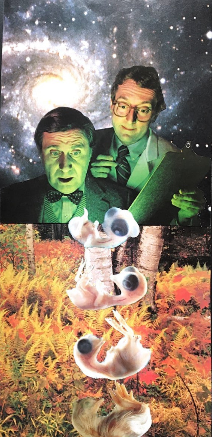 Discovery