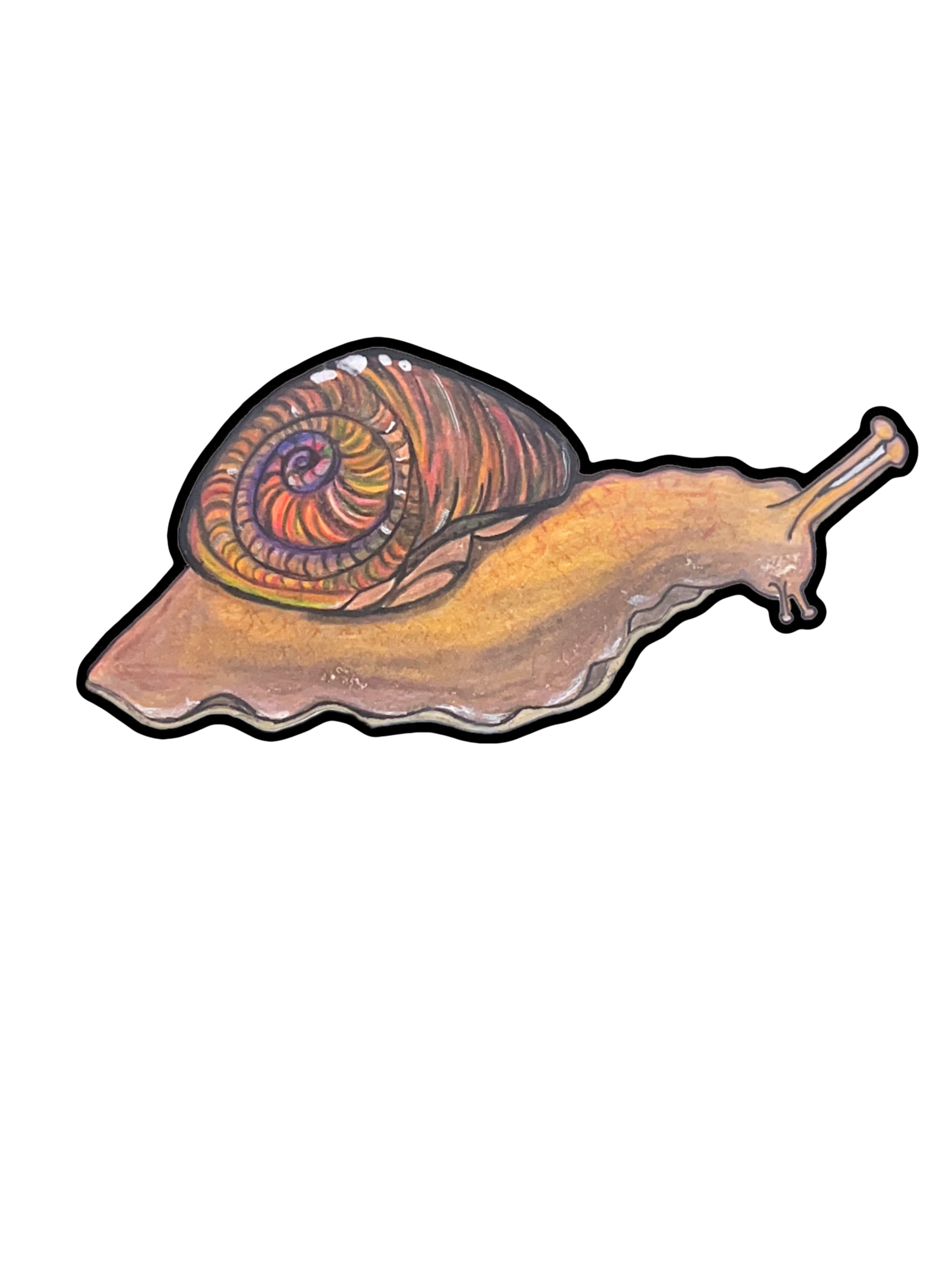 Snail