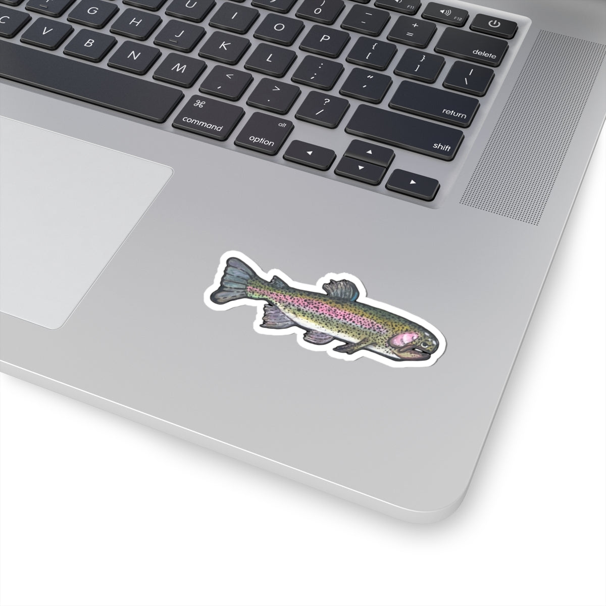 Rainbow Salmon Kiss-Cut Sticker