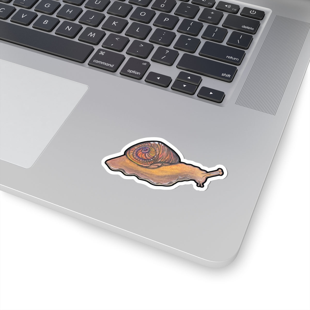 Snail Kiss-Cut Sticker