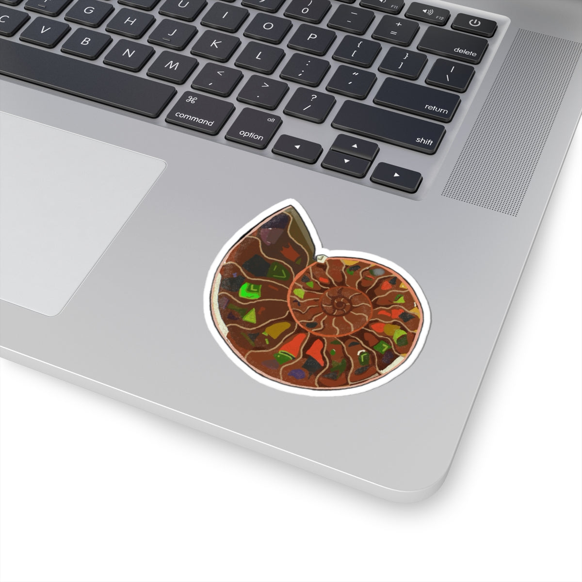 Nautilus Fossil Kiss-Cut Sticker